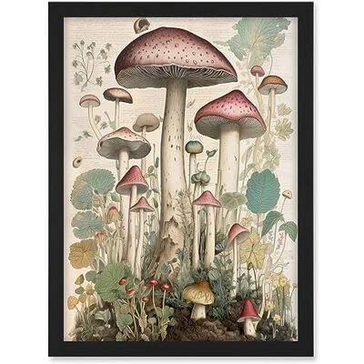 Artery8 Mushroom Fungi Botanical Page Photograph Vintage Cottagecore Rustic Aesthetic Kitchen Artwork Framed A3 Wall Art Print Artery8 Mushroom Fungi Botanical Page Photograph Vintage Cottagecore Rustic Aesthetic Kitchen Artwork Framed A3 Wall Art Print