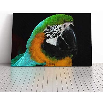Big Box Art Parrot Bird (1) Canvas Print Gallery Wrapped 30mm Frame Wall Art 20x14 inches Ready to Hang Modern Animals Picture Living Room Bedroom Lounge Office Big Box Art Parrot Bird (1) Canvas Print Gallery Wrapped 30mm Frame Wall Art 20x14 inches Ready to Hang Modern Animals Picture Living Room Bedroom Lounge Office