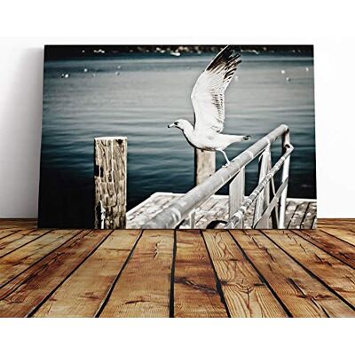Big Box Art Seagull Bird (3) Canvas Print Gallery Wrapped 30mm Frame Wall Art 20x14 inches Ready to Hang Modern Animals Picture Living Room Bedroom Lounge Office Big Box Art Seagull Bird (3) Canvas Print Gallery Wrapped 30mm Frame Wall Art 20x14 inches Ready to Hang Modern Animals Picture Living Room Bedroom Lounge Office