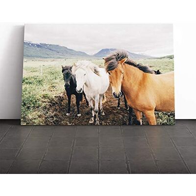 Big Box Art The Three Horses Canvas Print Gallery Wrapped 30mm Frame Wall Art 30x20 inches Ready to Hang Modern Animals Picture Living Room Bedroom Lounge Office Big Box Art The Three Horses Canvas Print Gallery Wrapped 30mm Frame Wall Art 30x20 inches Ready to Hang Modern Animals Picture Living Room Bedroom Lounge Office