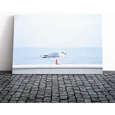 Big Box Art Resting Seagull Bird Seascape Canvas Print Gallery Wrapped 30mm Frame Wall Art 30x20 inches Ready to Hang Modern Animals Picture Living Room Bedroom Lounge Office Big Box Art Resting Seagull Bird Seascape Canvas Print Gallery Wrapped 30mm Frame Wall Art 30x20 inches Ready to Hang Modern Animals Picture Living Room Bedroom Lounge Office