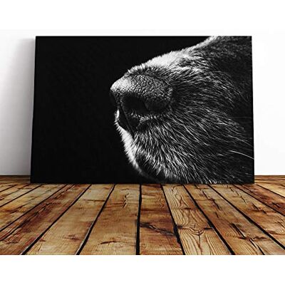 Big Box Art Dog Nose Snout Canvas Print Gallery Wrapped 30mm Frame Wall Art 30x20 inches Ready to Hang Modern Animals Picture Living Room Bedroom Lounge Office Big Box Art Dog Nose Snout Canvas Print Gallery Wrapped 30mm Frame Wall Art 30x20 inches Ready to Hang Modern Animals Picture Living Room Bedroom Lounge Office
