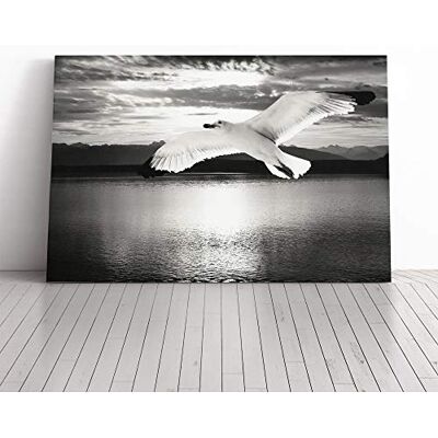Big Box Art Seagull Bird (4) Canvas Print Gallery Wrapped 30mm Frame Wall Art 20x14 inches Ready to Hang Modern Animals Picture Living Room Bedroom Lounge Office Big Box Art Seagull Bird (4) Canvas Print Gallery Wrapped 30mm Frame Wall Art 20x14 inches Ready to Hang Modern Animals Picture Living Room Bedroom Lounge Office