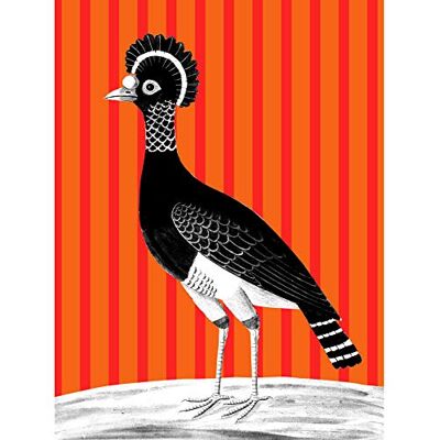 Wee Blue Coo Tall Birds On Stripes Carafson Hen Unframed Wall Art Print Poster Home Decor Premium Wee Blue Coo Tall Birds On Stripes Carafson Hen Unframed Wall Art Print Poster Home Decor Premium