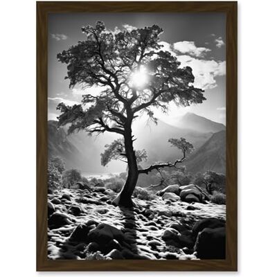 Artery8 Frozen Tree Outline in Mountain Forest Landscape Covered in Snow Black and White Photograph Winter Sunshine Artwork Framed Wall Art Print A4 Artery8 Frozen Tree Outline in Mountain Forest Landscape Covered in Snow Black and White Photograph Winter Sunshine Artwork Framed Wall Art Print A4