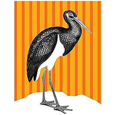 Wee Blue Coo Tall Birds On Stripes Black Stork Orange Unframed Art Print Poster Wall Decor 12X16 Inch Wee Blue Coo Tall Birds On Stripes Black Stork Orange Unframed Art Print Poster Wall Decor 12X16 Inch