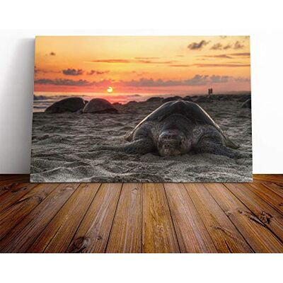 Big Box Art Turtle Sunset Beach Seascape Canvas Print Gallery Wrapped 30mm Frame Wall Art 30x20 inches Ready to Hang Modern Animals Picture Living Room Bedroom Lounge Office Big Box Art Turtle Sunset Beach Seascape Canvas Print Gallery Wrapped 30mm Frame Wall Art 30x20 inches Ready to Hang Modern Animals Picture Living Room Bedroom Lounge Office