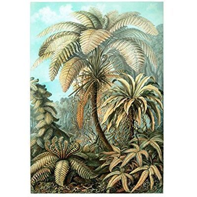 Wee Blue Coo Nature Biology Fern Ernst Haeckel Germany Framed Art Print Picture F12X605 Wee Blue Coo Nature Biology Fern Ernst Haeckel Germany Framed Art Print Picture F12X605