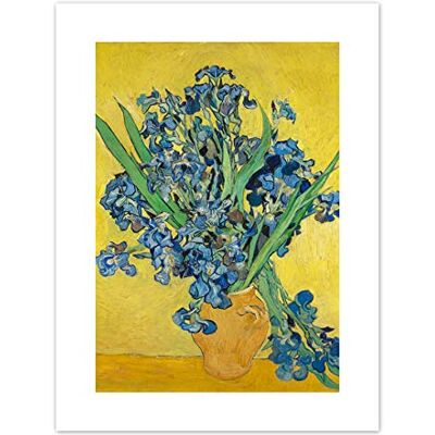 Fine Art Prints Van Gogh Irises Painting Canvas Wall Art Print Fine Art Prints Van Gogh Irises Painting Canvas Wall Art Print