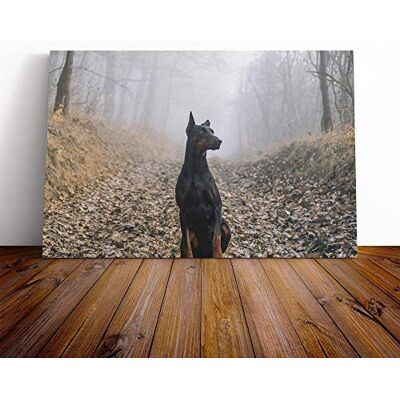 Big Box Art Doberman Dog (3) Canvas Print Gallery Wrapped 30mm Frame Wall Art 24x16 inches Ready to Hang Modern Animals Picture Living Room Bedroom Lounge Office Big Box Art Doberman Dog (3) Canvas Print Gallery Wrapped 30mm Frame Wall Art 24x16 inches Ready to Hang Modern Animals Picture Living Room Bedroom Lounge Office