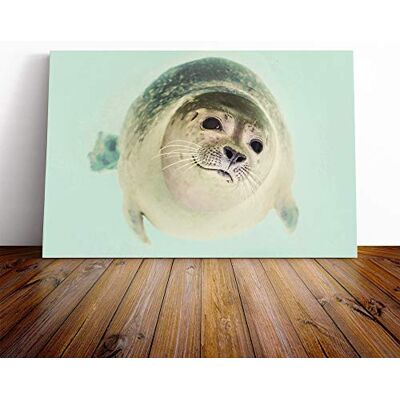 Big Box Art Canvas Print Wall Art Seal (2) Mounted and Stretched Box Frame Picture Home Decor for Kitchen, Living, Dining Room, Bedroom, Hallway, Multi-Colour, 20x14 Inch Big Box Art Canvas Print Wall Art Seal (2) Mounted and Stretched Box Frame Picture Home Decor for Kitchen, Living, Dining Room, Bedroom, Hallway, Multi-Colour, 20x14 Inch