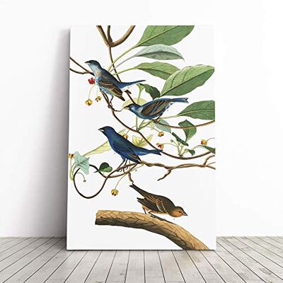 Big Box Art John James Audubon Indigo Bird Canvas Print Gallery Wrapped 30mm Frame Wall Art 30x20 inches Ready to Hang Modern Animals Picture Living Room Bedroom Lounge Office Big Box Art John James Audubon Indigo Bird Canvas Print Gallery Wrapped 30mm Frame Wall Art 30x20 inches Ready to Hang Modern Animals Picture Living Room Bedroom Lounge Office