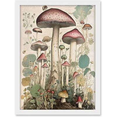 Artery8 Mushroom Fungi Botanical Page Photograph Vintage Cottagecore Rustic Aesthetic Kitchen Artwork Framed A3 Wall Art Print Artery8 Mushroom Fungi Botanical Page Photograph Vintage Cottagecore Rustic Aesthetic Kitchen Artwork Framed A3 Wall Art Print