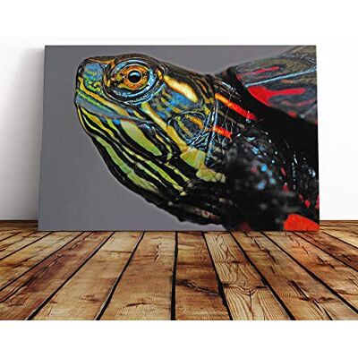 Big Box Art Painted Turtle Canvas Print Gallery Wrapped 30mm Frame Wall Art 24x16 inches Ready to Hang Modern Animals Picture Living Room Bedroom Lounge Office Big Box Art Painted Turtle Canvas Print Gallery Wrapped 30mm Frame Wall Art 24x16 inches Ready to Hang Modern Animals Picture Living Room Bedroom Lounge Office