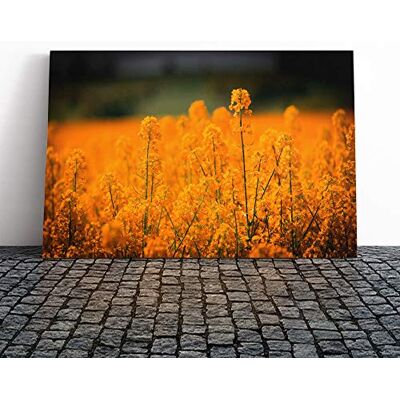 Big Box Art Canvas Print Wall Art Flower Orange Oilsee Rape Blossom Mounted & Stretched Box Frame Picture Home Decor for Kitchen, Living Room, Bedroom, Hallway, Multi-Colour, 20x14 Inch Big Box Art Canvas Print Wall Art Flower Orange Oilsee Rape Blossom Mounted & Stretched Box Frame Picture Home Decor for Kitchen, Living Room, Bedroom, Hallway, Multi-Colour, 20x14 Inch