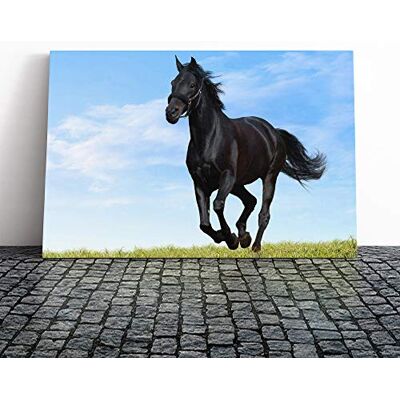 Big Box Art Black Horse Running Canvas Print Gallery Wrapped 30mm Frame Wall Art 24x16 inches Ready to Hang Modern Animals Picture Living Room Bedroom Lounge Office Big Box Art Black Horse Running Canvas Print Gallery Wrapped 30mm Frame Wall Art 24x16 inches Ready to Hang Modern Animals Picture Living Room Bedroom Lounge Office