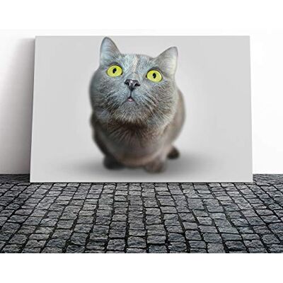Big Box Art British Shorthair Cat Vol.3 Canvas Print Gallery Wrapped 30mm Frame Wall Art 24x16 inches Ready to Hang Modern Animals Picture Living Room Bedroom Lounge Office Big Box Art British Shorthair Cat Vol.3 Canvas Print Gallery Wrapped 30mm Frame Wall Art 24x16 inches Ready to Hang Modern Animals Picture Living Room Bedroom Lounge Office