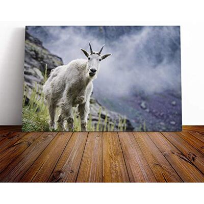 Big Box Art Curious Mountain Goat Canvas Print Gallery Wrapped 30mm Frame Wall Art 30x20 inches Ready to Hang Modern Animals Picture Living Room Bedroom Lounge Office Big Box Art Curious Mountain Goat Canvas Print Gallery Wrapped 30mm Frame Wall Art 30x20 inches Ready to Hang Modern Animals Picture Living Room Bedroom Lounge Office
