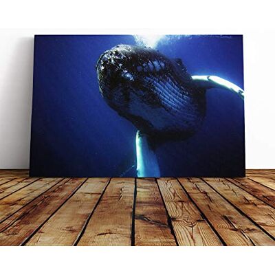 Big Box Art Humpback Whale Canvas Print Gallery Wrapped 30mm Frame Wall Art 30x20 inches Ready to Hang Modern Animals Picture Living Room Bedroom Lounge Office Big Box Art Humpback Whale Canvas Print Gallery Wrapped 30mm Frame Wall Art 30x20 inches Ready to Hang Modern Animals Picture Living Room Bedroom Lounge Office