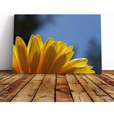 Big Box Art Canvas Print Wall Art Flower Yellow Daisy Mounted and Stretched Box Frame Picture Home Decor for Kitchen, Living, Dining Room, Bedroom, Hallway, Multi-Colour, 20x14 Inch Big Box Art Canvas Print Wall Art Flower Yellow Daisy Mounted and Stretched Box Frame Picture Home Decor for Kitchen, Living, Dining Room, Bedroom, Hallway, Multi-Colour, 20x14 Inch