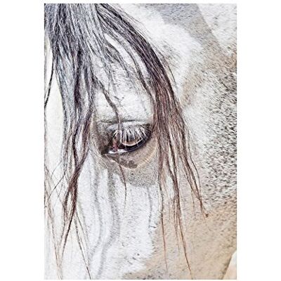 Wee Blue Coo Photo Nature Animal Close Up Andalusian Horse Wall Art Print Wee Blue Coo Photo Nature Animal Close Up Andalusian Horse Wall Art Print