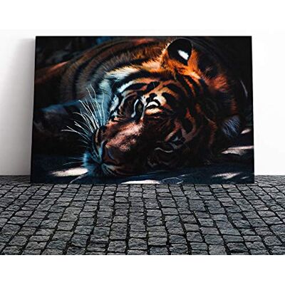 Big Box Art Tiger in The Shade Canvas Print Gallery Wrapped 30mm Frame Wall Art 30x20 inches Ready to Hang Modern Animals Picture Living Room Bedroom Lounge Office Big Box Art Tiger in The Shade Canvas Print Gallery Wrapped 30mm Frame Wall Art 30x20 inches Ready to Hang Modern Animals Picture Living Room Bedroom Lounge Office