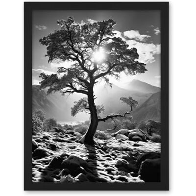 Artery8 Frozen Tree Outline in Mountain Forest Landscape Covered in Snow Black and White Photograph Winter Sunshine Artwork Framed Wall Art Print 18X24 Inch Artery8 Frozen Tree Outline in Mountain Forest Landscape Covered in Snow Black and White Photograph Winter Sunshine Artwork Framed Wall Art Print 18X24 Inch