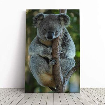 Big Box Art Koala Bear (1) Canvas Print Gallery Wrapped 30mm Frame Wall Art 20x14 inches Ready to Hang Modern Animals Picture Living Room Bedroom Lounge Office Big Box Art Koala Bear (1) Canvas Print Gallery Wrapped 30mm Frame Wall Art 20x14 inches Ready to Hang Modern Animals Picture Living Room Bedroom Lounge Office
