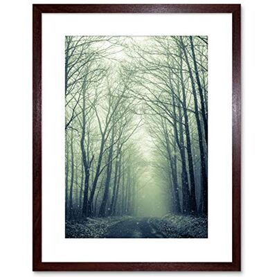 Wee Blue Coo NATURE PHOTO FOREST TREES WINTER TRACK FRAMED ART PRINT POSTER F97X11977 Wee Blue Coo NATURE PHOTO FOREST TREES WINTER TRACK FRAMED ART PRINT POSTER F97X11977