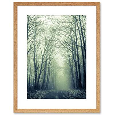 Wee Blue Coo NATURE PHOTO FOREST TREES WINTER TRACK FRAMED ART PRINT POSTER F97X11977 Wee Blue Coo NATURE PHOTO FOREST TREES WINTER TRACK FRAMED ART PRINT POSTER F97X11977