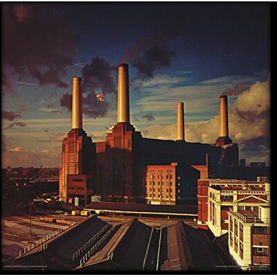 Pink Floyd Animals Framed Album Cover Print, Official Licensed Wall Art, 12 Inch Music Memorabilia, Record Sleeve Decor, Collector Gift for Fans Pink Floyd Animals Framed Album Cover Print, Official Licensed Wall Art, 12 Inch Music Memorabilia, Record Sleeve Decor, Collector Gift for Fans