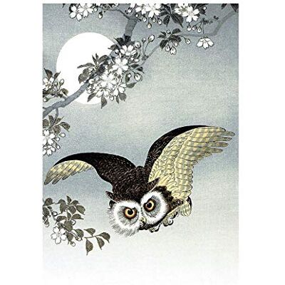 Wee Blue Coo Painting Nature Bird Owl Japan Ohara Koson Wall Art Print Wee Blue Coo Painting Nature Bird Owl Japan Ohara Koson Wall Art Print