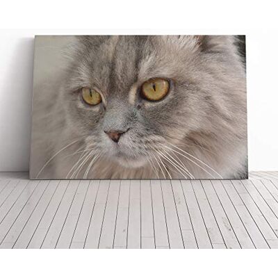 Big Box Art Cat Eyes (8) Canvas Print Gallery Wrapped 30mm Frame Wall Art 20x14 inches Ready to Hang Modern Animals Picture Living Room Bedroom Lounge Office Big Box Art Cat Eyes (8) Canvas Print Gallery Wrapped 30mm Frame Wall Art 20x14 inches Ready to Hang Modern Animals Picture Living Room Bedroom Lounge Office