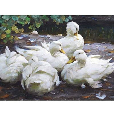 Fine Art Prints Koester Five White Ducks Resting Birds Nature Painting Large Print Poster Wall Art Decor Picture Fine Art Prints Koester Five White Ducks Resting Birds Nature Painting Large Print Poster Wall Art Decor Picture