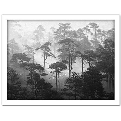 Fine Art Prints Oja Lindi Nature Reserve Estonia Forest Trees Photo Artwork Framed Wall Art Print 18X24 Inch Fine Art Prints Oja Lindi Nature Reserve Estonia Forest Trees Photo Artwork Framed Wall Art Print 18X24 Inch
