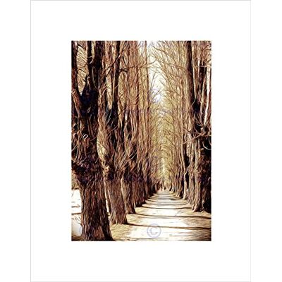 Wee Blue Coo NATURE LANDSCAPE TREE LANE SEPIA AUTUMN BLACK FRAMED ART PRINT B12X4034 Wee Blue Coo NATURE LANDSCAPE TREE LANE SEPIA AUTUMN BLACK FRAMED ART PRINT B12X4034