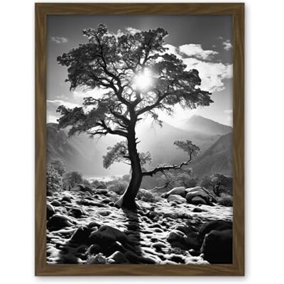 Artery8 Frozen Tree Outline in Mountain Forest Landscape Covered in Snow Black and White Photograph Winter Sunshine Artwork Framed Wall Art Print 18X24 Inch Artery8 Frozen Tree Outline in Mountain Forest Landscape Covered in Snow Black and White Photograph Winter Sunshine Artwork Framed Wall Art Print 18X24 Inch