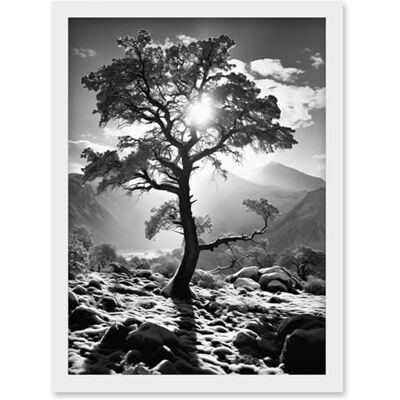 Artery8 Frozen Tree Outline in Mountain Forest Landscape Covered in Snow Black and White Photograph Winter Sunshine Artwork Framed Wall Art Print A4 Artery8 Frozen Tree Outline in Mountain Forest Landscape Covered in Snow Black and White Photograph Winter Sunshine Artwork Framed Wall Art Print A4