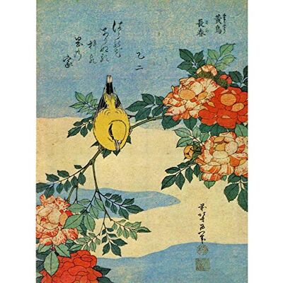 Wee Blue Coo Painting Animals Bird Yellow Finch Flowers Japanese Japan Large Art Print Poster Wall Decor 18x24 inch Wee Blue Coo Painting Animals Bird Yellow Finch Flowers Japanese Japan Large Art Print Poster Wall Decor 18x24 inch