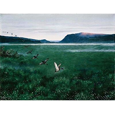 Wee Blue Coo Animals Theodor Kittelsen The Twelve Wild Ducks Art Print Poster Wall Decor 12X16 Inch Wee Blue Coo Animals Theodor Kittelsen The Twelve Wild Ducks Art Print Poster Wall Decor 12X16 Inch