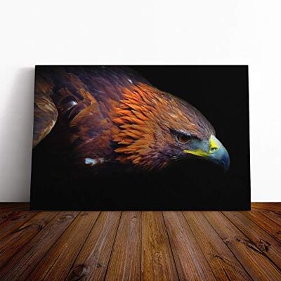 Big Box Art Eagle Bird Canvas Print Gallery Wrapped 30mm Frame Wall Art 20x14 inches Ready to Hang Modern Animals Picture Living Room Bedroom Lounge Office Big Box Art Eagle Bird Canvas Print Gallery Wrapped 30mm Frame Wall Art 20x14 inches Ready to Hang Modern Animals Picture Living Room Bedroom Lounge Office