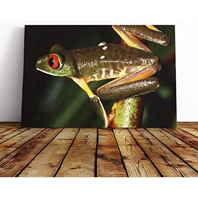 Big Box Art Red Eyed Leaf Frog Canvas Print Gallery Wrapped 30mm Frame Wall Art 20x14 inches Ready to Hang Modern Animals Picture Living Room Bedroom Lounge Office Big Box Art Red Eyed Leaf Frog Canvas Print Gallery Wrapped 30mm Frame Wall Art 20x14 inches Ready to Hang Modern Animals Picture Living Room Bedroom Lounge Office