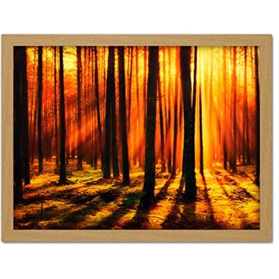 Artery8 Forest Sunset Nature Photograph Artwork Framed Wall Art Print 18X24 Inch Artery8 Forest Sunset Nature Photograph Artwork Framed Wall Art Print 18X24 Inch