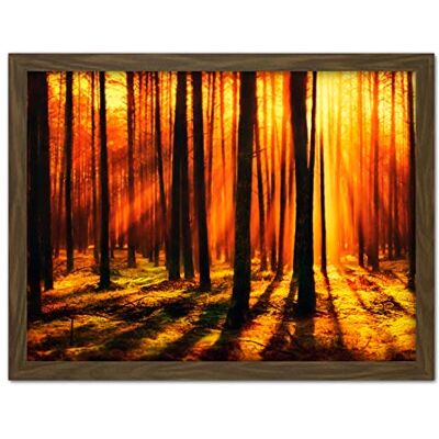 Artery8 Forest Sunset Nature Photograph Artwork Framed Wall Art Print 18X24 Inch Artery8 Forest Sunset Nature Photograph Artwork Framed Wall Art Print 18X24 Inch