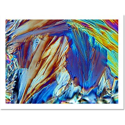 Fine Art Prints Abstract Glucose Crystal Electron Microscope Large White Framed Art Print Wall Poster 18x24 inch Fine Art Prints Abstract Glucose Crystal Electron Microscope Large White Framed Art Print Wall Poster 18x24 inch