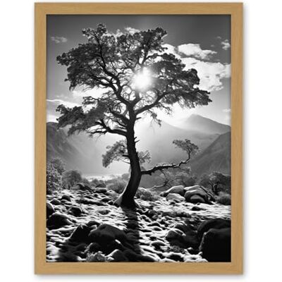 Artery8 Frozen Tree Outline in Mountain Forest Landscape Covered in Snow Black and White Photograph Winter Sunshine Artwork Framed Wall Art Print 18X24 Inch Artery8 Frozen Tree Outline in Mountain Forest Landscape Covered in Snow Black and White Photograph Winter Sunshine Artwork Framed Wall Art Print 18X24 Inch