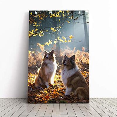 Big Box Art Canvas Print Wall Art Two Rough Collie Dogs Mounted and Stretched Box Frame Picture Home Decor for Kitchen, Living, Dining Room, Bedroom, Hallway, Multi-Colour, 20x14 Inch Big Box Art Canvas Print Wall Art Two Rough Collie Dogs Mounted and Stretched Box Frame Picture Home Decor for Kitchen, Living, Dining Room, Bedroom, Hallway, Multi-Colour, 20x14 Inch