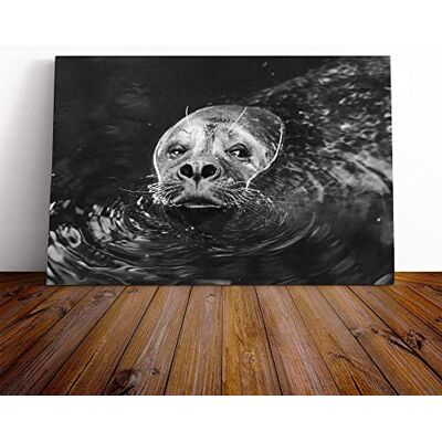 Big Box Art Sea Lion Vol.4 Canvas Print Gallery Wrapped 30mm Frame Wall Art 24x16 inches Ready to Hang Modern Animals Picture Living Room Bedroom Lounge Office Big Box Art Sea Lion Vol.4 Canvas Print Gallery Wrapped 30mm Frame Wall Art 24x16 inches Ready to Hang Modern Animals Picture Living Room Bedroom Lounge Office