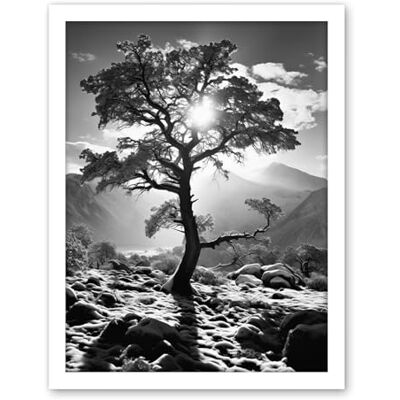 Artery8 Frozen Tree Outline in Mountain Forest Landscape Covered in Snow Black and White Photograph Winter Sunshine Artwork Framed Wall Art Print 18X24 Inch Artery8 Frozen Tree Outline in Mountain Forest Landscape Covered in Snow Black and White Photograph Winter Sunshine Artwork Framed Wall Art Print 18X24 Inch