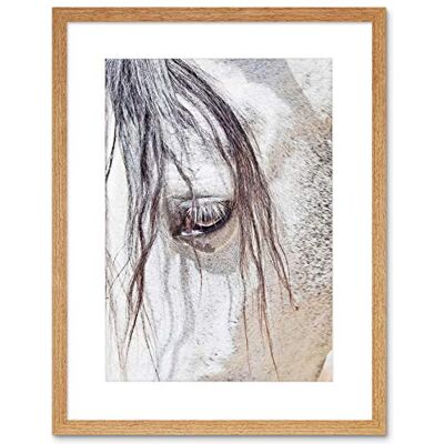 Wee Blue Coo Photo Nature Animal Close Up Andalusian Horse Framed Wall Art Print Wee Blue Coo Photo Nature Animal Close Up Andalusian Horse Framed Wall Art Print